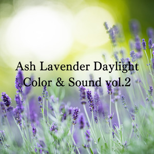 Ash Lavender Daylight Color & Sound vol.2