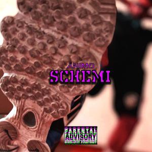 Schemi