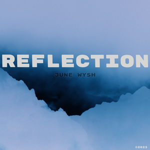 Reflection