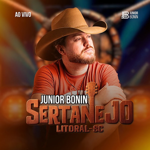 Lareira (Se Eu Pudesse no Tempo Voltar) (Ao Vivo)