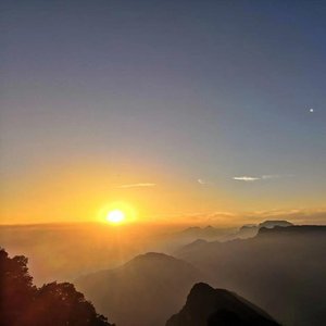 婚约(中国好声音2023）