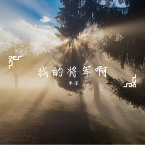 我的将军啊