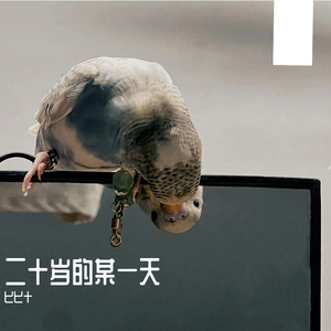 二十岁的某一天