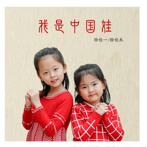 我是中国娃