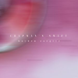 Chapman's Swift