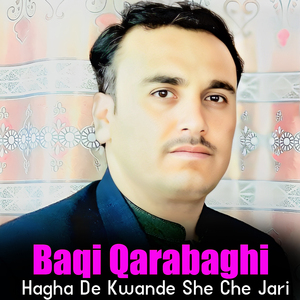 Meena Da Stargo Sa Khob Yosi