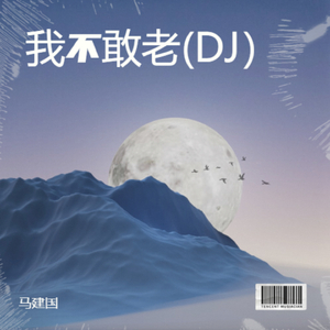 我不敢老(DJ）