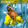Roger Shah - Bees and Butterflies (Sunlounger Instrumental Downtempo Mix)