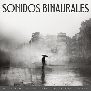 Sinfonía De Lluvia Con Hierba Gatera