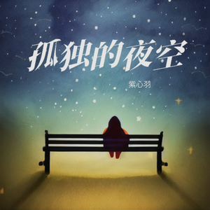 孤独的夜空
