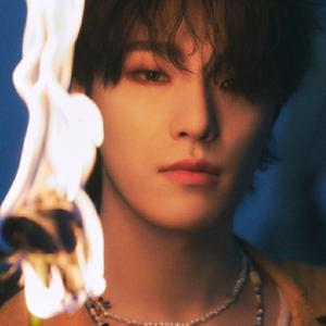 DON QUIXOTE（翻自 SEVENTEEN）