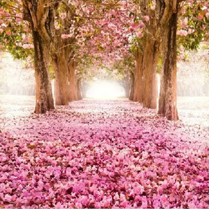 Drill Luv（Prod. 0rang3）