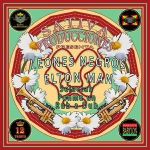 Selectah Ponme Un Rub a Dub