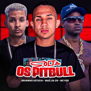 Solta os Pitbull (feat. MC PQD)