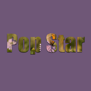 Pop Star