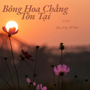 Bông Hoa Chẳng Tồn Tại (LOFI)