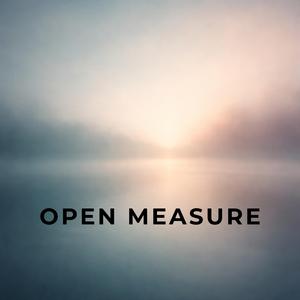 Open Measure