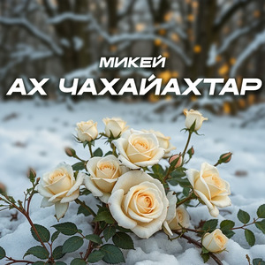 Ах чахайахтар