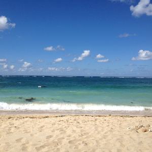 序幕（翻自 押尾桑）