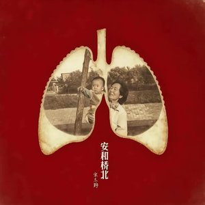 斑马斑马(管今)