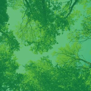 微妙的安静的星期日心情