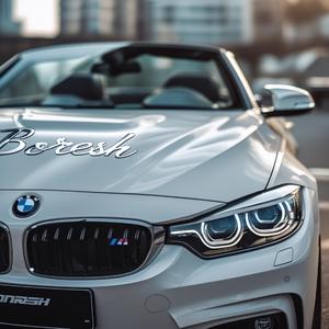 BORESH! (feat. Wrongway!)