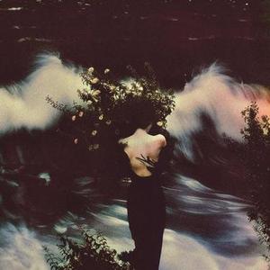 爱意随阳光洒落