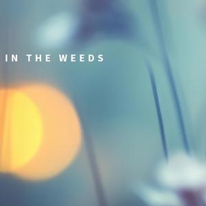 In The Weeds