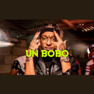 Un Bobo