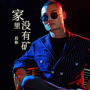 家里没有矿(DJ版)