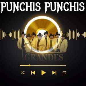 PUNCHIS PUNCHIS