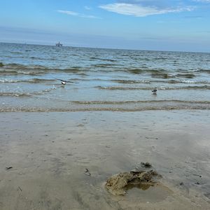 岁月流转心未老