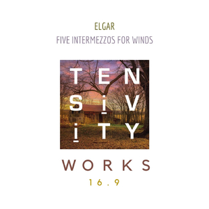 Five Intermezzos for Winds