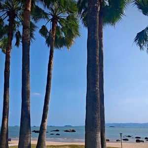 青春的纪念徽章