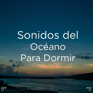 睡眠のための海の音