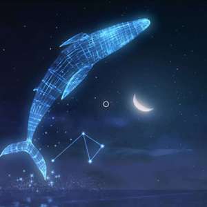 Sea of stars（星辰大海）