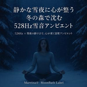 雪の吸音に溶ける思考