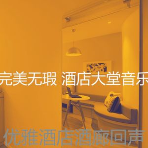 抚慰的酒店酒吧回忆