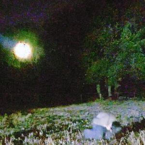 un mondO senza di ...Te