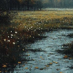 november stream