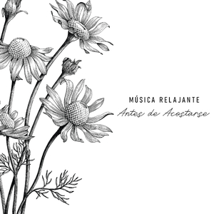 Céntrate en ti Mismo