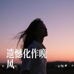 遗憾化作晚风 (Cover 南极星)