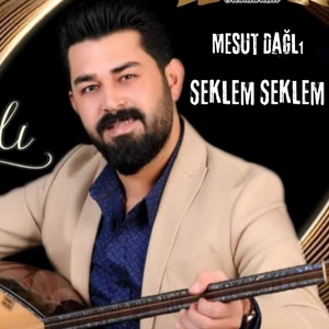 Her Ana Doğurmaz Molla