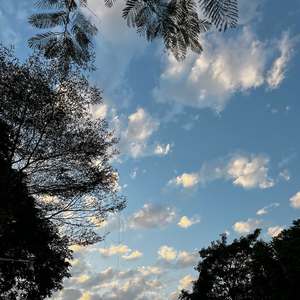 你是否曾会想起他