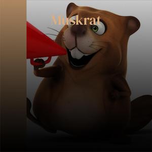 Muskrat