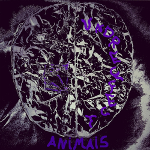 Animais