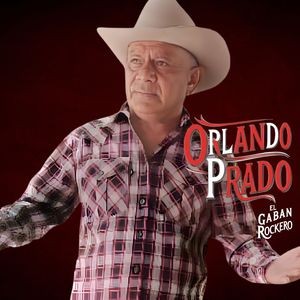 Compra y Venta de Gabanes