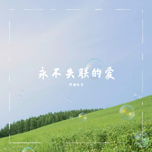 永不失联的爱