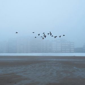 【非卖品禁止使用】透明