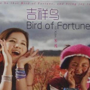 让我听懂你的语言